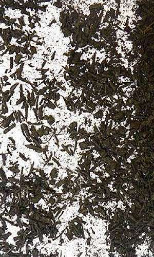 Compra de raspa de pneus de caminhão Compra de raspa de pneus de caminhão