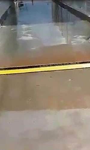 Dilacerador de pneus garra de tigre Dilacerador de pneus garra de tigre