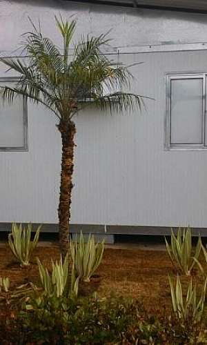 Fabricante de container modular habitacional Fabricante de container modular habitacional